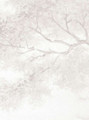 Pastorale, printed mural wallpaper by Paul Montgomery. Taupe detail shot.