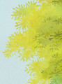 Romanesque, printed mural wallpaper by Paul Montgomery. Up-close detail shot.