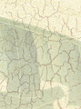 Rio, printed mural wallpaper by Paul Montgomery. Up-close detail shot.