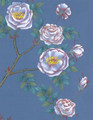 Roses Blue, printed mural wallpaper by Paul Montgomery. Detail shot.