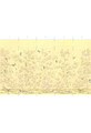 Roses Yellow, printed mural wallpaper by Paul Montgomery. Panel layout.