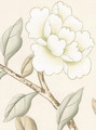 Solitude Cream, printed mural wallpaper by Paul Montgomery. Up-close detail shot.