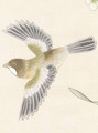 Solitude Cream, printed mural wallpaper by Paul Montgomery. Up-close detail shot.
