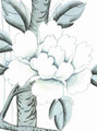 Solitude White, printed mural wallpaper by Paul Montgomery. Detail shot.