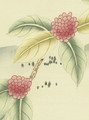 Spring Garden Cream, printed mural wallpaper by Paul Montgomery. Up-close detail shot.