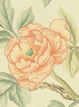 Spring Garden Cream, printed mural wallpaper by Paul Montgomery. Up-close detail shot.