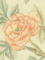 Spring Garden Cream, printed mural wallpaper by Paul Montgomery. Up-close detail shot.