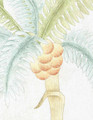 Trevarez Ivory, printed mural wallpaper by Paul Montgomery. Up-close detail shot.