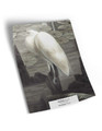 10" x 13" sample of The Bayou; grey panoramic