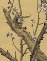 Tree Stream, printed mural wallpaper by Paul Montgomery. Up-close detail shot.