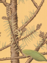Quiet Forest Gardenia, printed mural wallpaper by Paul Montgomery. Up-close detail shot.