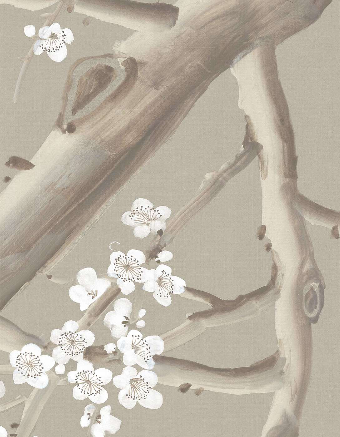 Cherry Blossoms Beige by Paul Montgomery