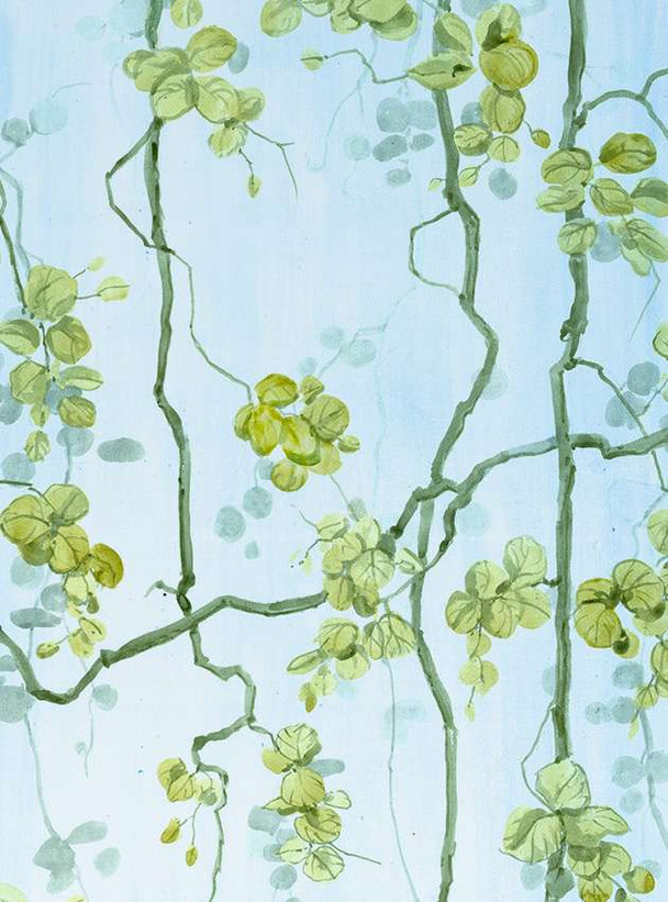 Vigne, printed mural wallpaper by Paul Montgomery. Full color detail shot.