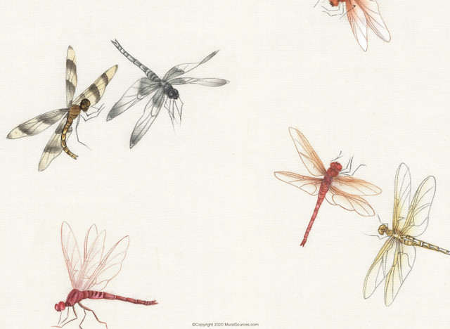 Dragonflies