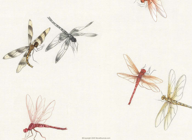 Dragonflies