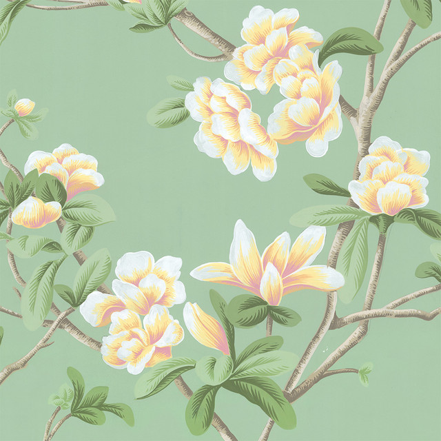 Azaleas in European