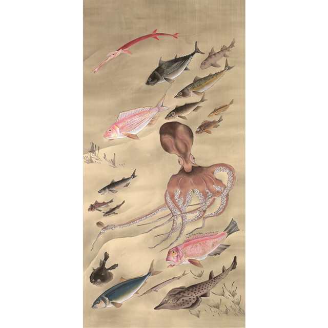 Fish & Sea Life
