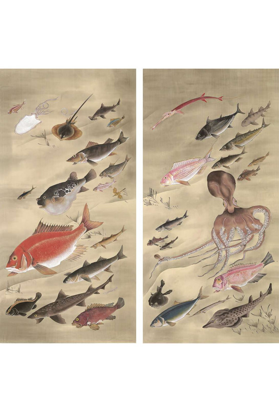 Fish & Sea Life | The Mural Source by Paul Montgomery