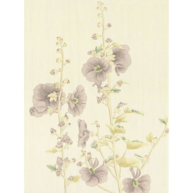 Hollyhock Purple