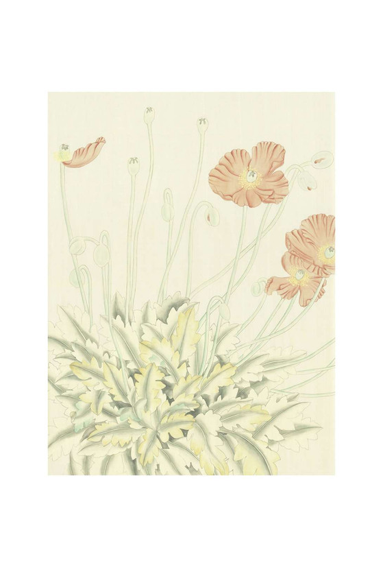 Poppies | The Mural Source by Paul Montgomery