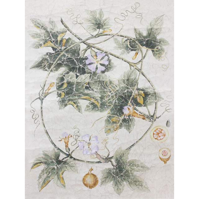 Indian Botanicals