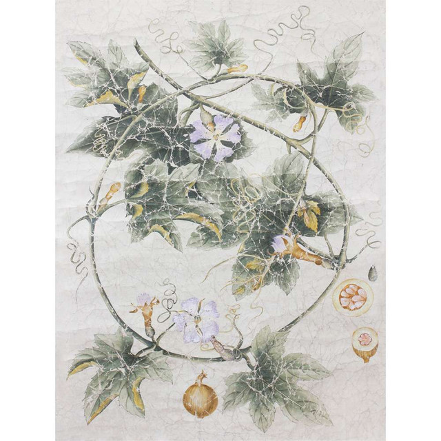 Indian Botanicals