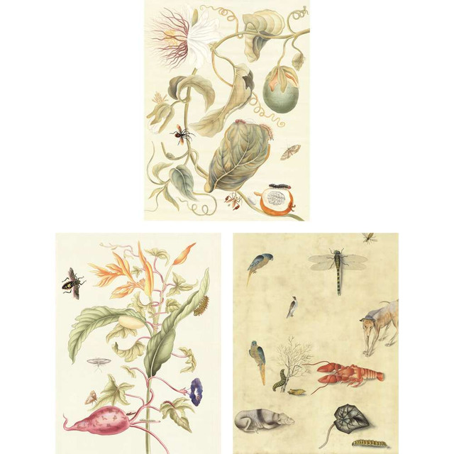 Nature Study | The Mural Source by Paul Montgomery