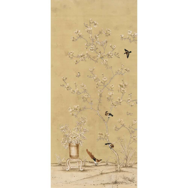 Chinese Magnolias