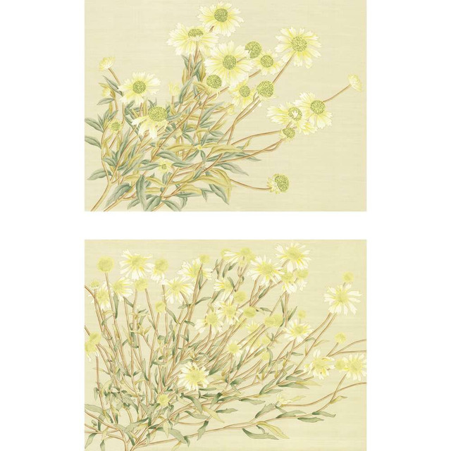 Daisies | The Mural Source by Paul Montgomery