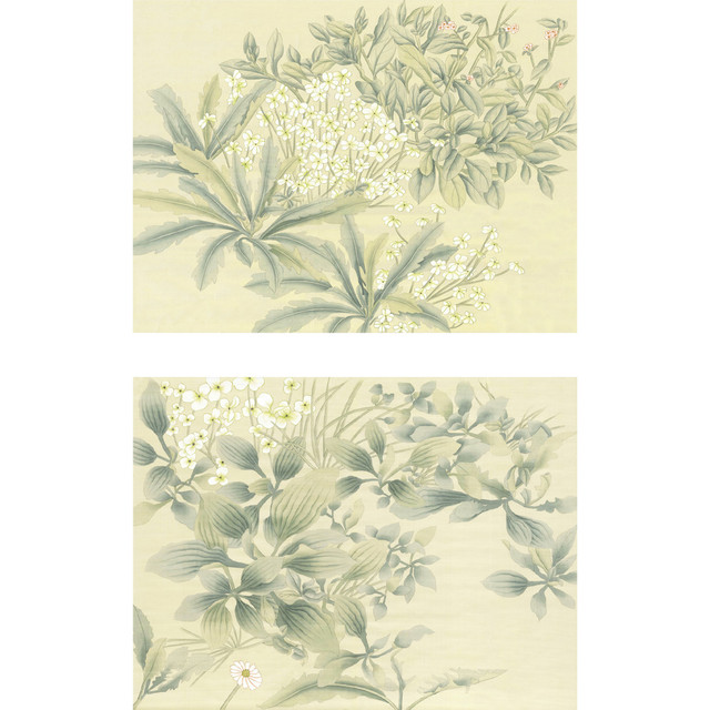 Little Garden