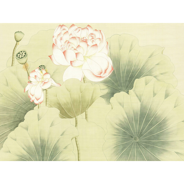 Lotus