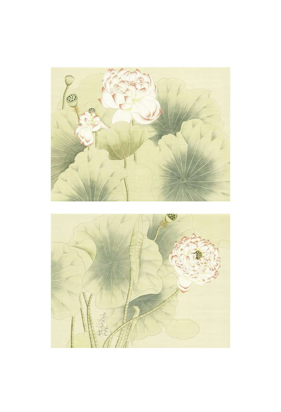 Lotus | The Mural Source by Paul Montgomery