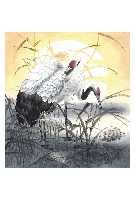 Sun Cranes