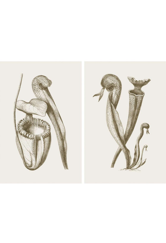 Pitchers Sepia | The Mural Source by Paul Montgomery