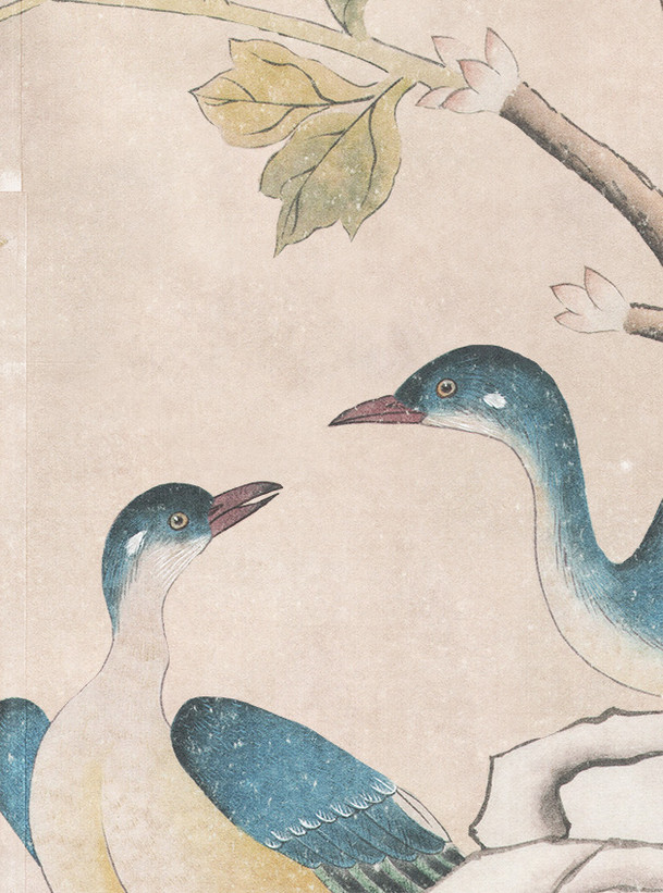 Ardmore, printed mural wallpaper by Paul Montgomery. Pink detail shot.