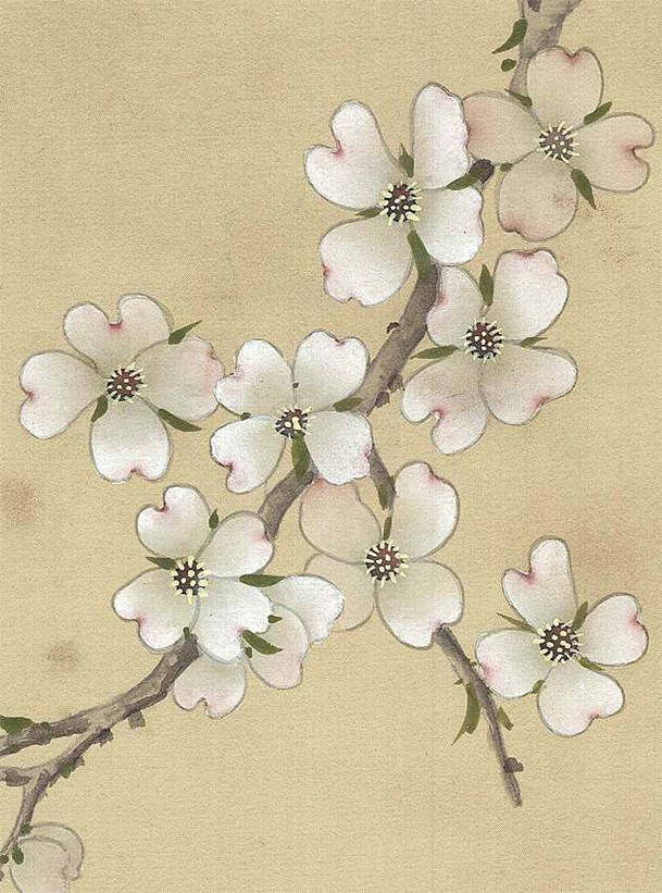 Carolina Breeze Antiqued, printed mural wallpaper by Paul Montgomery. Up-close detail shot.