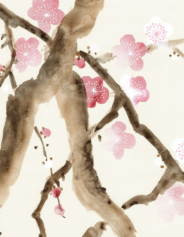 Cherry Blossoms White, printed mural wallpaper by Paul Montgomery. Up-close detail shot.