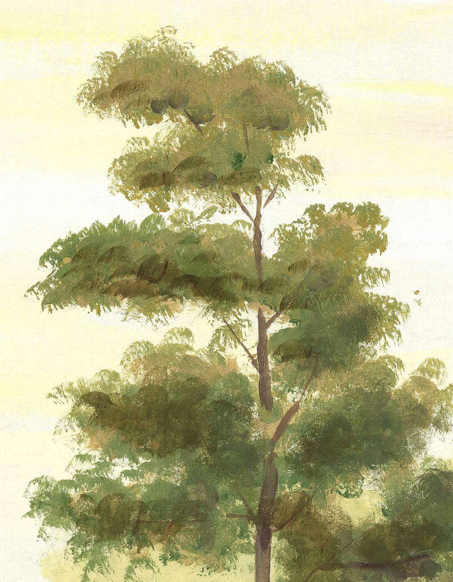 Low Country, printed mural wallpaper by Paul Montgomery. Detail shot.