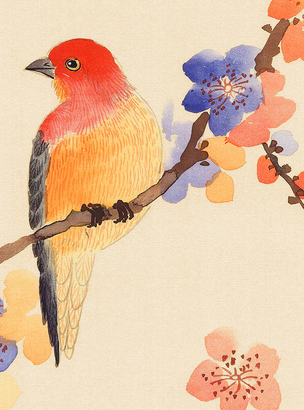 Margaux, printed mural wallpaper by Paul Montgomery. Ivory Blush detail shot.