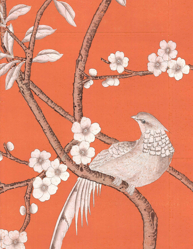Maysong Paris, printed mural wallpaper by Paul Montgomery. Orange detail shot.