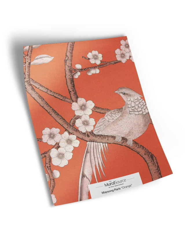 Maysong Paris Sample | The Mural Source by Paul Montgomery