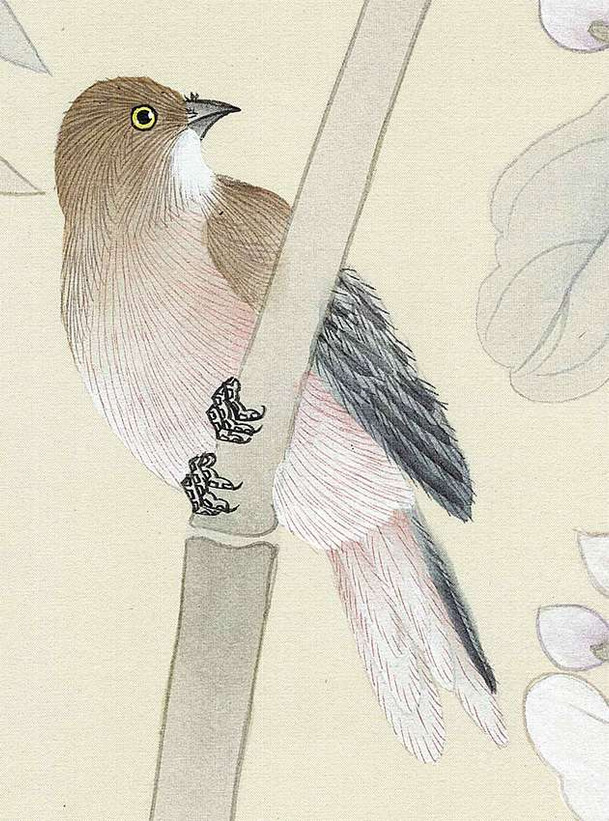 Palace Garden Cream, printed mural wallpaper by Paul Montgomery. Up-close detail shot.