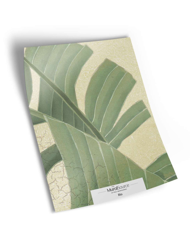 Rio Sample | The Mural Source by Paul Montgomery