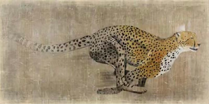 Cheetah