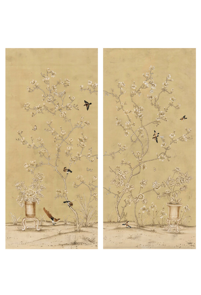 Chinese Magnolias
