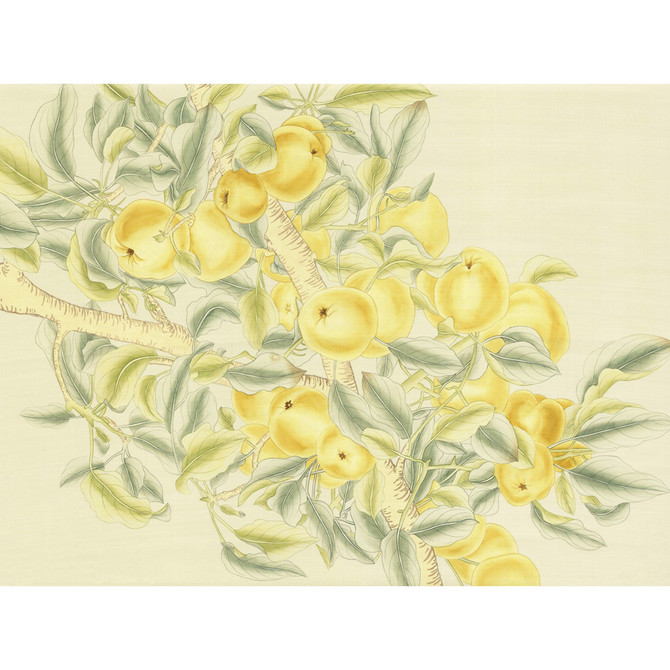 Pears