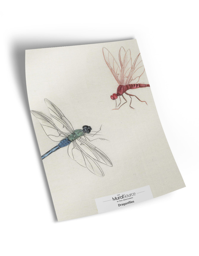 Dragonflies Sample