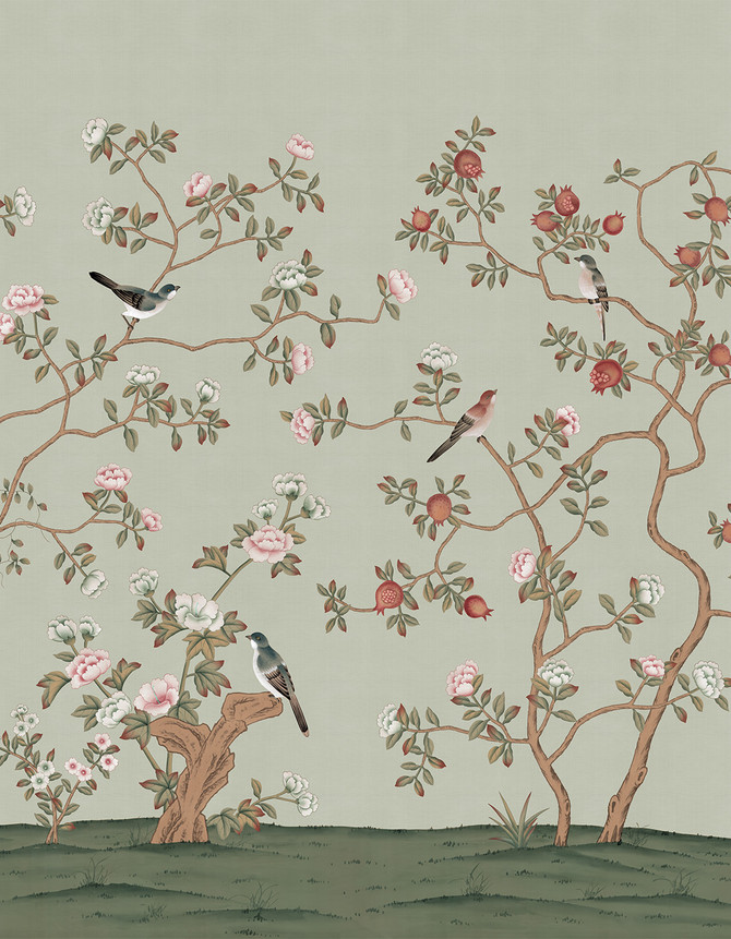 Jinan Pomegranate