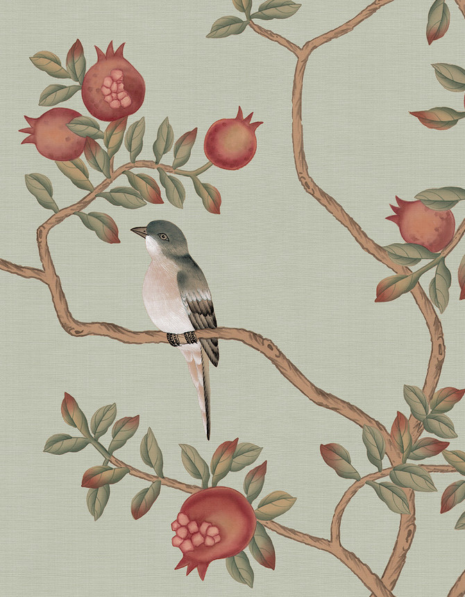 Jinan Pomegranate