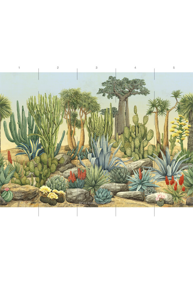 Desert Garden, printed mural wallpaper by Paul Montgomery. Full color panel layout.